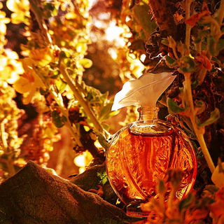 Eine herbstlich-glühende Love-Story 🍁🍂🌞🧡