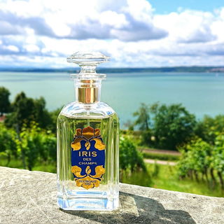 Iris des Champs (Eau de Parfum) - Houbigant