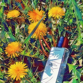 Fleur d'Oranger / N°06 Neroli / N°06 Fleur d'Oranger - Zara