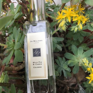 Wild Fig & Cassis by Jo Malone