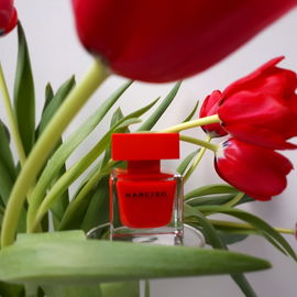 Signorina Eleganza (Eau de Parfum) - Salvatore Ferragamo
