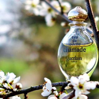 Chamade (Eau de Toilette) - Guerlain