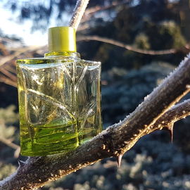 Homme Nature / Nature pour Homme (Eau de Toilette) - Yves Rocher