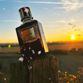 Ein Hauch von Frühling 🌸 (by Theris)