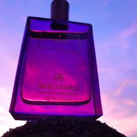 Ambre (Eau de Parfum) - Molinard