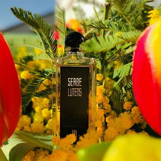 Féminité du bois von Serge Lutens