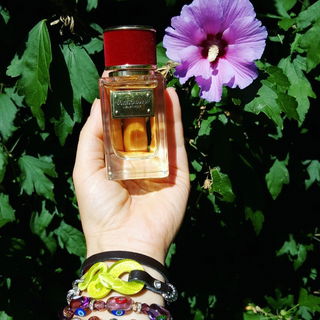 Velvet Desire - Dolce & Gabbana