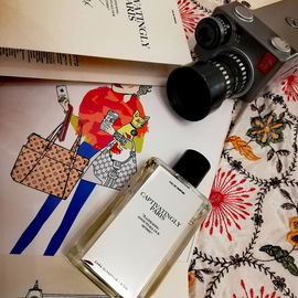 N°09 Captivatingly Paris - Zara