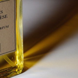 Bois d'Ascèse - Naomi Goodsir