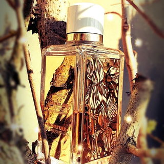 Butterfly / Hanae Mori (1995) (Eau de Parfum) - Hanae Mori / ハナヱ モリ