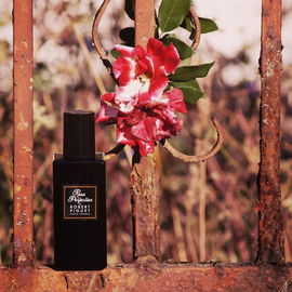 Romanik - Rose - Rost. Perfektion im Herbst.