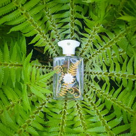 Bracken Man - Amouage