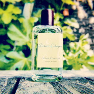 Cedrat by the fig tree