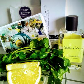 Rose Nue - Les Parfums de Rosine