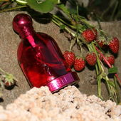 Habe mich damals vertan. Es ist FRESIA Halloween! (by ElenaN)