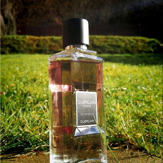 Sunny day back in the city...