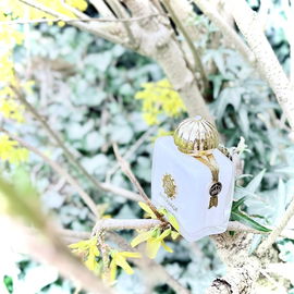 Honour 43 - Amouage