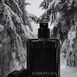 1881 Signature - Cerruti