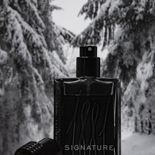 1881 Signature - Cerruti