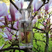 Magnolie im Rathauspark bei uns (von Baeumchen)