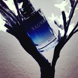 Fougère Eau de Cologne - Harry Lehmann