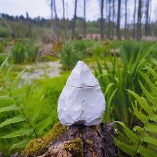 Neandertal Light - Neandertal