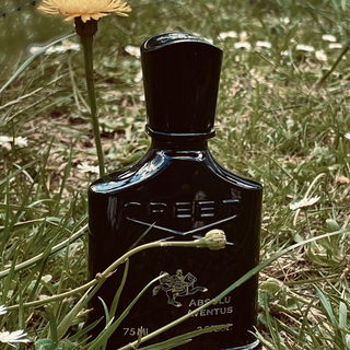 Absolu Aventus by Creed