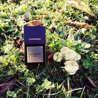 Sandor 70's - Carner