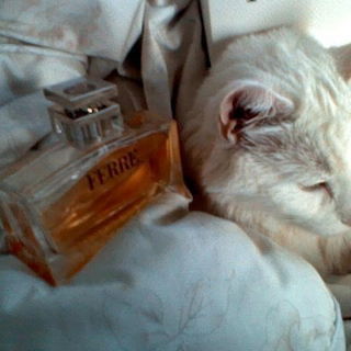 Ferré - Gianfranco Ferré