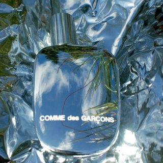 Comme des Garçons 2 - Comme des Garçons