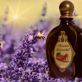 Mouson Lavendel / Lavender von J. G. Mouson & Co.