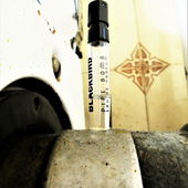 Bernsteingeister auf dem Rohr (by Floyd)