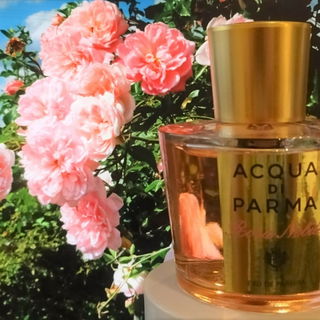 Rosa Nobile (Eau de Parfum) von Acqua di Parma