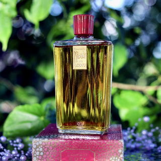 L'Aimant (Eau de Toilette Concentrée) by Coty