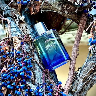 …📷🌍 Thank you. Danke schön. Merci beaucoup. Muchas gracias. Dōmo arigatō gozaimasu 💐…