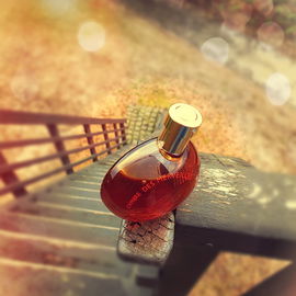 by Sushihexe