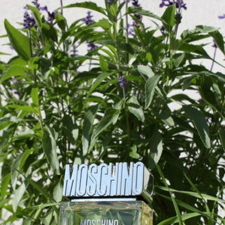 Forever (Eau de Toilette) - Moschino