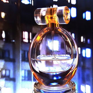 Sheer Beauty by Calvin Klein