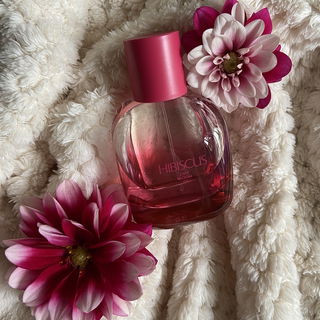 Zara Bloom 03 - Hibiscus - Zara
