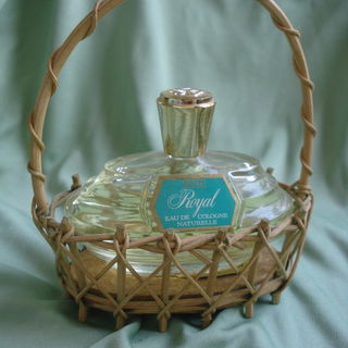 Patra Royal von Gebrüder Kleiner