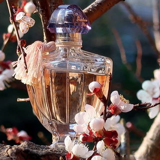Shalimar Parfum Initial L'Eau - Guerlain