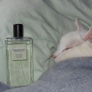 Lime e Basilico / Lime and Basil - Gandini