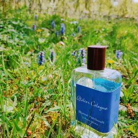Patchouli Riviera / Mistral Patchouli - Atelier Cologne