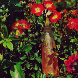 Ambre Antique - Coty