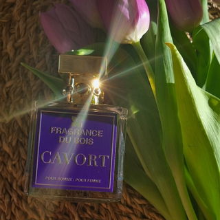 Cavort - Fragrance Du Bois