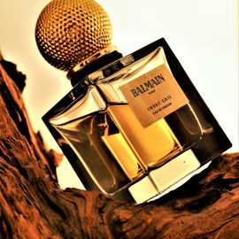Ambre Gris - Balmain