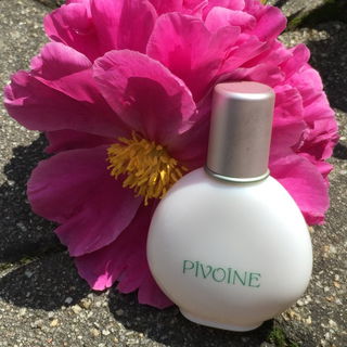 Pivoine von Yves Rocher