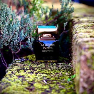 …📷🌍 Thank you. Danke schön. Merci beaucoup. Muchas gracias. Dōmo arigatō gozaimasu 💐…