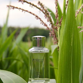 Baldessarini (Eau de Cologne) - Baldessarini