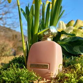 🌞🍀Extase Frühling🌞🍀 Merci🫶 (by JoliParis)